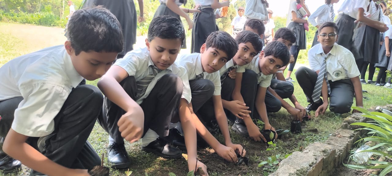  Davara International School